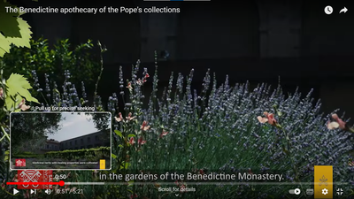 The Benedictine Apothecary Of The Pope's Collections